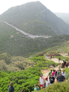 Hiking to Cape Point